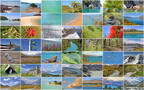 Collection of New Zealand images collage