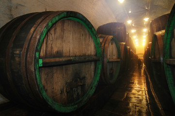 Fototapeta premium underground cellar with big oak barrel