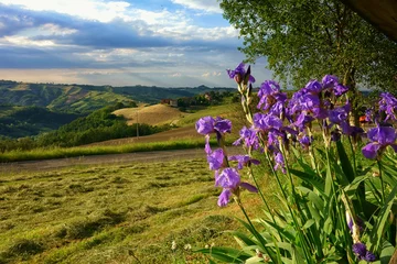 Foto op Plexiglas hill landscape © Nitakphoto