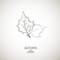 Autumn leaves vector icon