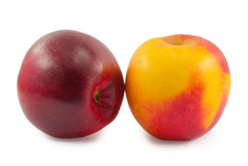 apples isolated on white background
