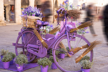 Bicicletta vintage romantica
