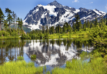 Fototapeta na wymiar Picture Lake Evergreens Mount Shuksan Washington USA