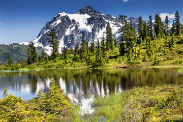 Picture Lake Evergreens Mount Shuksan Washington USA