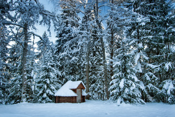 Hut in snowy forest