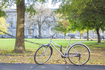 Fototapeta premium Bike at the park