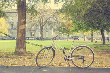 Fototapeta premium Bike at the park