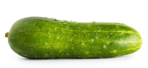 Green useful cucumber