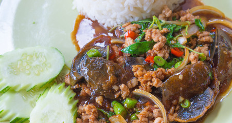 Rice topped with stir fried minced pork and basil