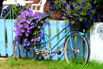 Fototapeta na wymiar le vélo fleuri