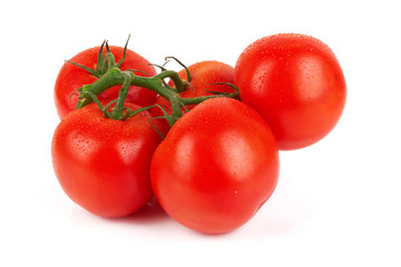 tomatoes
