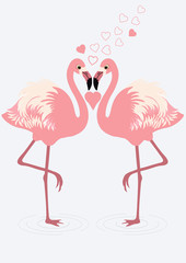 Fototapeta premium Pair of flamingos