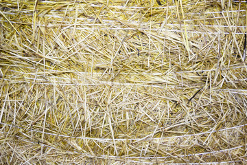 background of close-up bale of straw