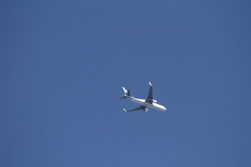 Plane flying in the sky