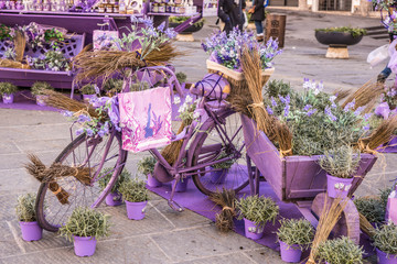 Bicicletta vintage romantica