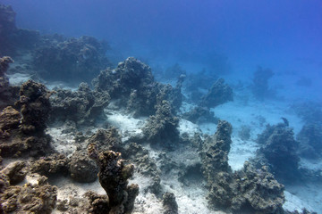 bottom of tropical sea with coral reef on large depth