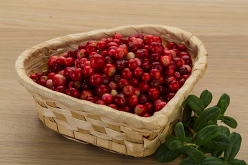 Cowberry