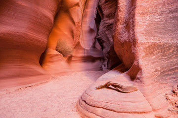 Canyon X Walls © tamifreed