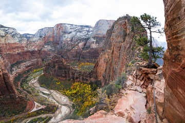 Autumn in Zion NP © wollertz