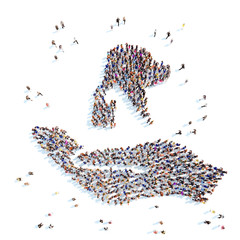 Protection of animals .