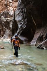 hiking the Narrows in Zion NP