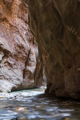 the Narrows in Zion NP