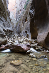 the Narrows in Zion NP