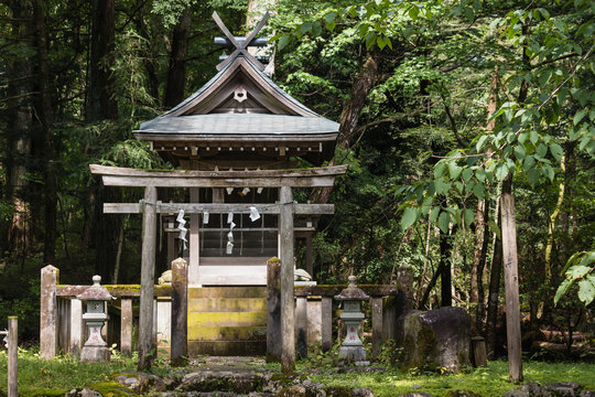 Shinto Shrine In Nikko