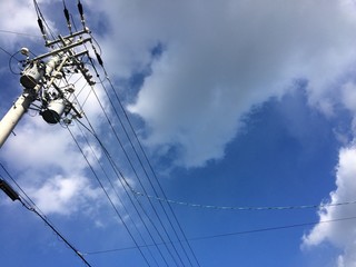 冬の電柱