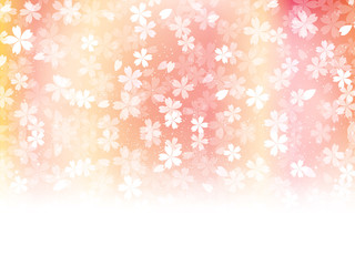 桜　花　背景