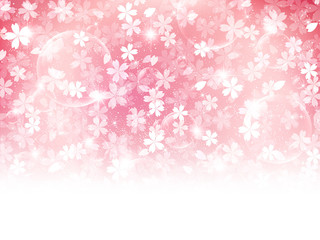 桜　花　背景