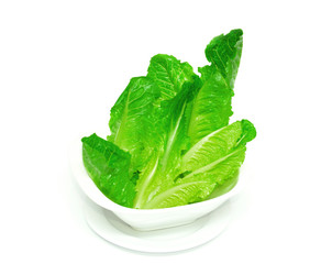 Cos lettuce shoots arranged on a white cup