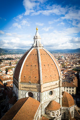 Fototapeta na wymiar Florence, Aerial vertical view