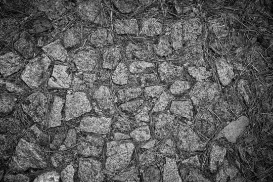 texture of natural stone and pine needles