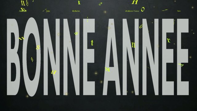 Bonne ann&eacute;e