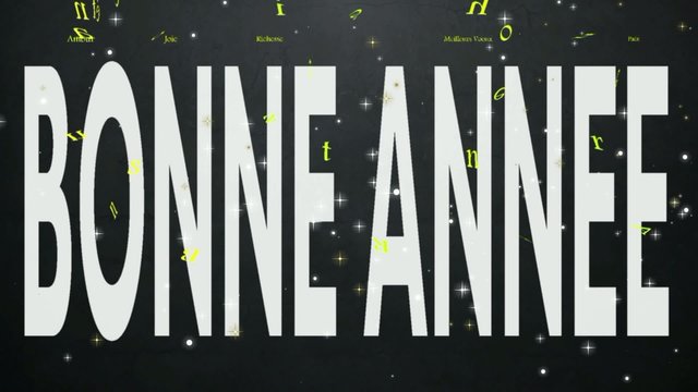 Bonne ann&eacute;e