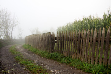 Garden Fence in the Mist