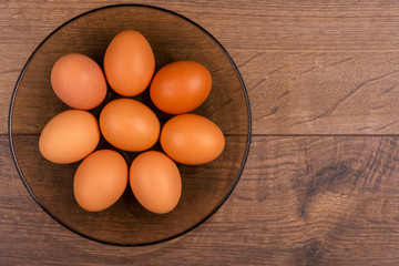 Eggs the delicious and nutritious product