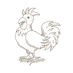 Vector Illustration of a Hand Drawn Rooster