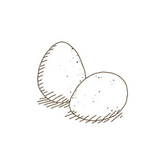 Vector Illustration of Hand Drawn Eggs