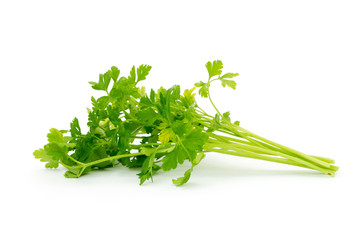 fresh parsley