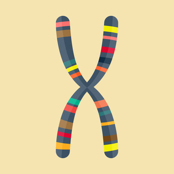 Abstract Illustration of chromosome in modern flat design