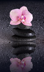 Wet Spa stone pyramid and orchid flower with reflection