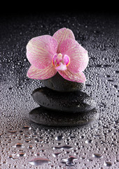 pyramid of black zen stones and pink orchid