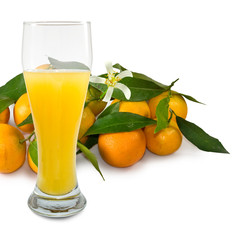 Fototapeta premium image of juicy and tangerine closeup