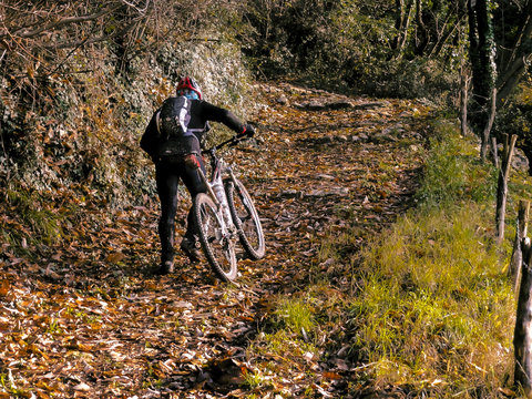 mountain bike on steep trail in autumn forest