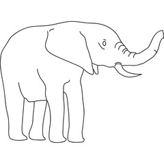 elefante