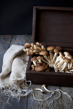 fresh mushrooms on vintage wooden box on rustic table