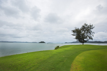 Green Field and Blue Sea