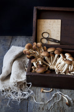 fresh mushrooms on old wooden box with scissor